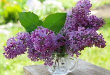 Минута отдыха Астрологический прогноз и гороскоп на месяц июнь 2022 года Интересное 