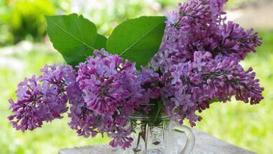 Минута отдыха Астрологический прогноз и гороскоп на месяц июнь 2022 года Интересное  Минута отдыха Астрологический прогноз и гороскоп на месяц июнь 2022 года Интересное