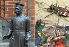 Минута отдыха Шесть любопытных фактов и историй обо всём на свете Интересное 