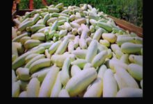 Минута отдыха Мем №1336704 Анекдоты 