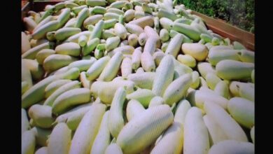 Минута отдыха Мем №1336704 Анекдоты 