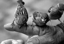 Минута отдыха Больше, чем наследство: 4 истины о жизни, которые нужно передать своим детям Интересное 