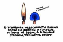 Минута отдыха Интересные, но короткие факты на все случаи жизни Интересное 