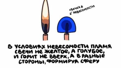 Минута отдыха Интересные, но короткие факты на все случаи жизни Интересное  Минута отдыха Интересные, но короткие факты на все случаи жизни Интересное
