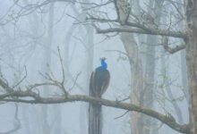 Минута отдыха Мем №1334190 Анекдоты 