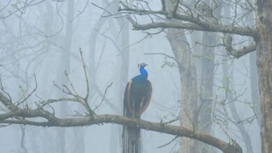 Минута отдыха Мем №1334190 Анекдоты 