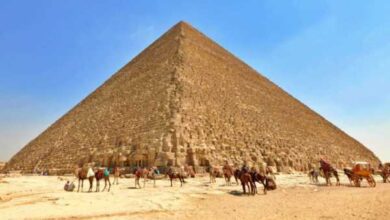 Минута отдыха Сколько стоило бы строительство древних чудес света сегодня Интересное 