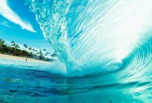 Минута отдыха Укрепляем биополе: простые практики и советы для повышения энергетики Интересное 