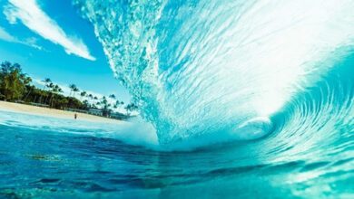 Минута отдыха Укрепляем биополе: простые практики и советы для повышения энергетики Интересное  Минута отдыха Укрепляем биополе: простые практики и советы для повышения энергетики Интересное