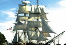 Минута отдыха Как киты победили китобоев. Настоящая версия «Моби Дика» Интересное 