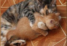 Минута отдыха Мем №1346507 Анекдоты 