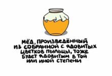 Минута отдыха Интересные короткие факты на все случаи жизни Интересное 