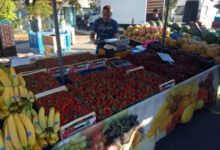 Минута отдыха Где выгоднее всего покупать продукты в Греции самостоятельному туристу – советы бывалых Интересное 