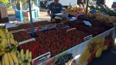 Минута отдыха Где выгоднее всего покупать продукты в Греции самостоятельному туристу – советы бывалых Интересное  Минута отдыха Где выгоднее всего покупать продукты в Греции самостоятельному туристу – советы бывалых Интересное
