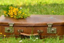 Минута отдыха Вот и вали к своей ш... Интересное 