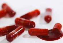 Минута отдыха Человеческую кровь можно назвать уникальной субстанцией Интересное 