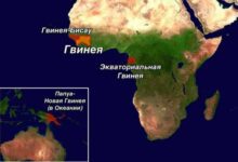 Минута отдыха Почему в мире существуют четыре страны с названием «Гвинея»? Интересное 