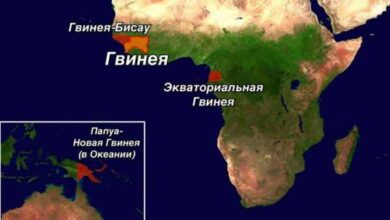 Минута отдыха Почему в мире существуют четыре страны с названием «Гвинея»? Интересное  Минута отдыха Почему в мире существуют четыре страны с названием «Гвинея»? Интересное