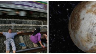 Минута отдыха 17 любопытных фактов, которые расширят ваш кругозор Интересное 