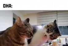 Минута отдыха Мем №1361219 Анекдоты 