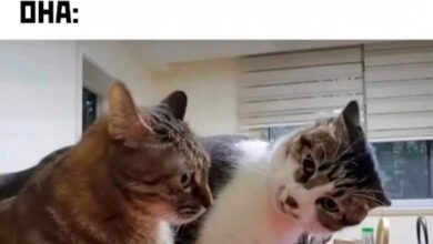 Минута отдыха Мем №1361219 Анекдоты  Минута отдыха Мем №1361219 Анекдоты