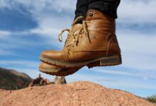 Минута отдыха Вся жизнь вне дома Интересное 