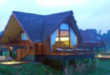 Минута отдыха Этот отель-заповедник на Шри – Ланке - рай для любителей дикой природы Интересное 