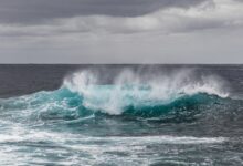 Минута отдыха К 2050 году в океане будет больше пластика, чем рыбы Интересное 