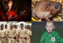 Минута отдыха Алкогольный марафон, пособие за усы и другие любопытные факты и истории Интересное 