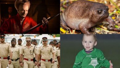 Минута отдыха Алкогольный марафон, пособие за усы и другие любопытные факты и истории Интересное 