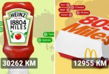 Минута отдыха Какой путь проделывают популярные продукты, прежде чем попасть в наши руки и рты Интересное 