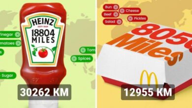 Минута отдыха Какой путь проделывают популярные продукты, прежде чем попасть в наши руки и рты Интересное 