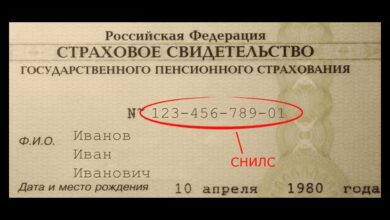 Минута отдыха Страховой номер индивидуального лицевого счета что это такое? Полезности  Минута отдыха Страховой номер индивидуального лицевого счета что это такое? Полезности