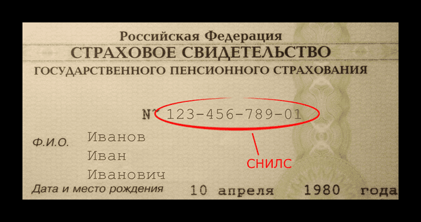 Страховой номер индивидуального лицевого счета что это такое?