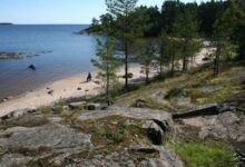 Минута отдыха Голосовые явления Ладоги – их природа Интересное 