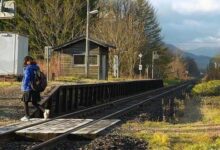 Минута отдыха Немного добрых и бодрящих фактов, от которых день станет светлее Интересное 