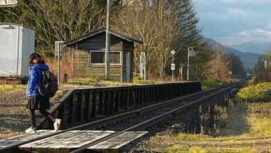 Минута отдыха Немного добрых и бодрящих фактов, от которых день станет светлее Интересное 