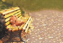 Минута отдыха О тех, кого рано лишили детства… и взрослости тоже Интересное 