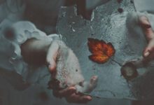 Минута отдыха Однажды мы устаем прощать и начинаем прощаться Интересное 