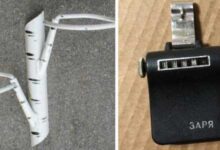 Минута отдыха Три интересные вещицы, о предназначении которых многие не знают Интересное 