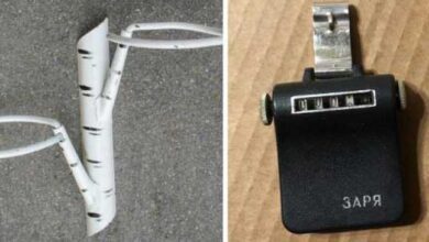 Минута отдыха Три интересные вещицы, о предназначении которых многие не знают Интересное  Минута отдыха Три интересные вещицы, о предназначении которых многие не знают Интересное