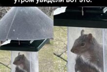 Минута отдыха Мем №1390927 Анекдоты 