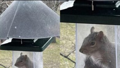 Минута отдыха Мем №1390927 Анекдоты 