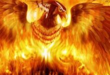 Минута отдыха Огненная бестия из иного мира Интересное 