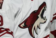 Минута отдыха Губернатор штата Коннектикут заявил, что хочет обсудить с комиссаром НХЛ переезд «Аризоны» Спорт 