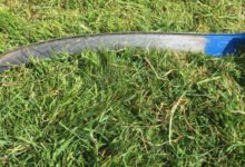 Минута отдыха Лишь сейчас по-настоящему смог понять родителей Интересное 