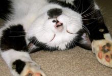 Минута отдыха Мем №1394858 Анекдоты 