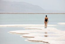 Минута отдыха Пляж Эйн-Бокек - соленый оазис для туристов в Израиле Интересное 