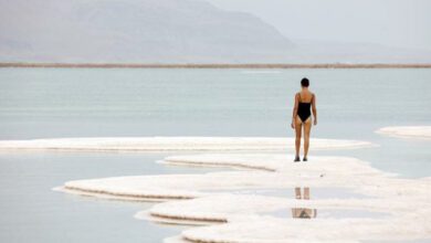 Минута отдыха Пляж Эйн-Бокек - соленый оазис для туристов в Израиле Интересное 