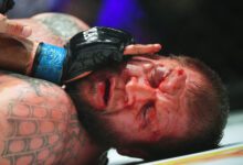 Минута отдыха Емельяненко освистали свои же. Саша раскроил сопернику лицо, но чуть не рухнул Спорт 